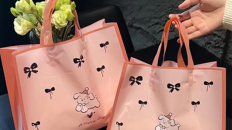 재사용 가능한 쇼핑백의 등장